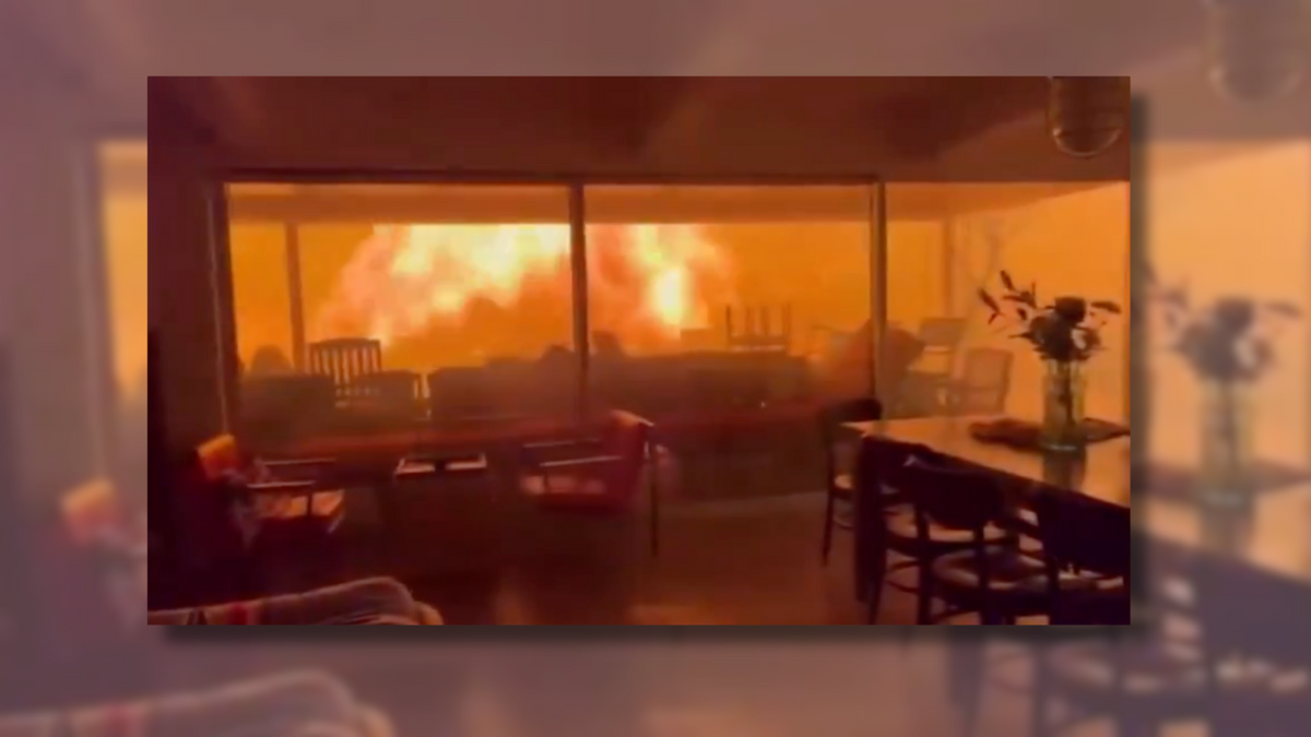 Dramatic Video Allegedly Shows 2 Men and Dog Trapped Inside House by Palisades Wildfire