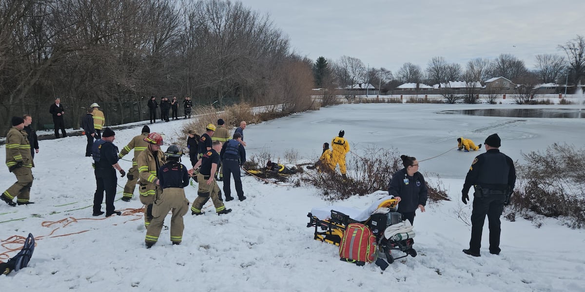 Firefighters rescue woman and her dog from icy pond in Springfield