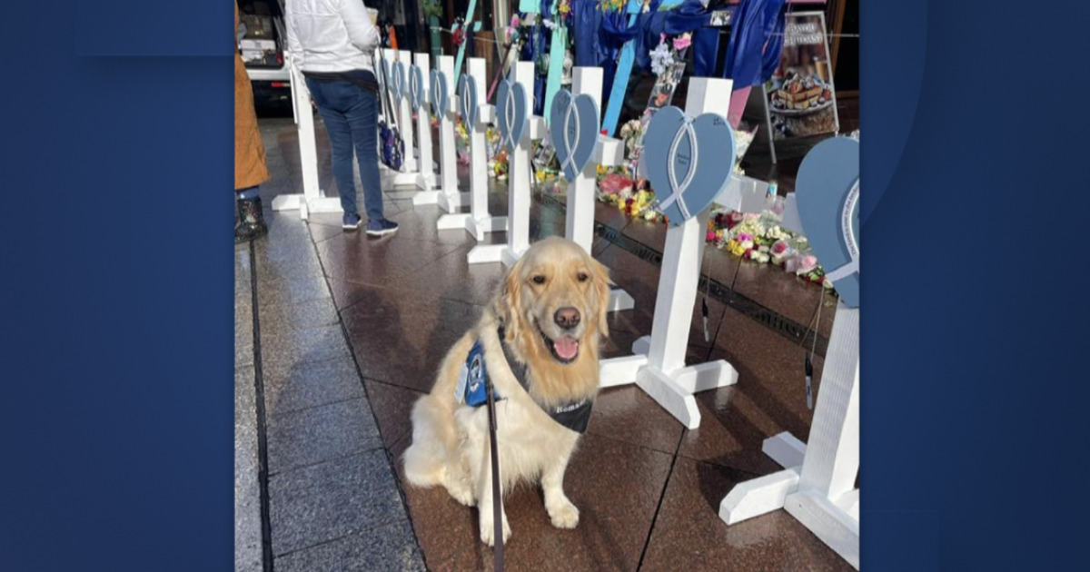 Glenpool church's comfort dog helps New Orleans attack victims, responders