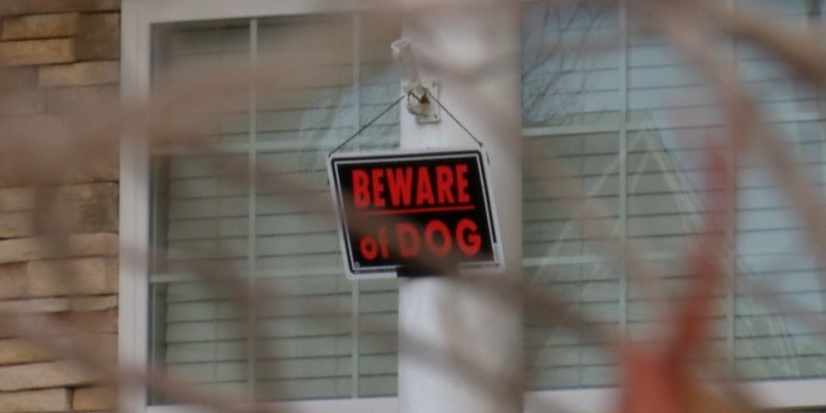 Grandma demanding change in state dog laws after 7-year-old attacked in Hampstead