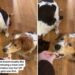 Dog gives first treat away