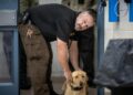 Hennepin County jail has a drug-sniffing dog named Goose