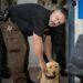 Hennepin County jail has a drug-sniffing dog named Goose