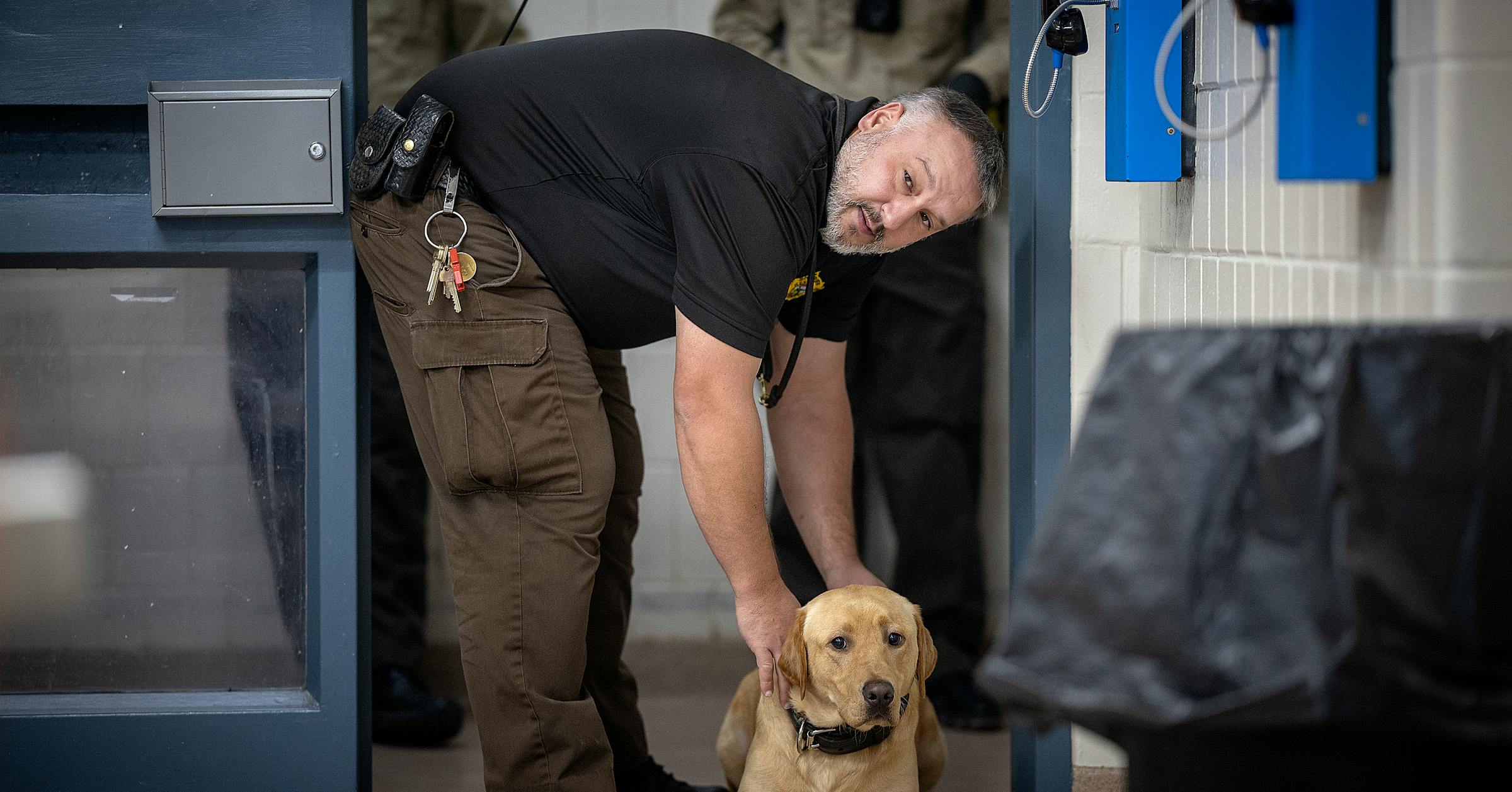 Hennepin County jail has a drug-sniffing dog named Goose