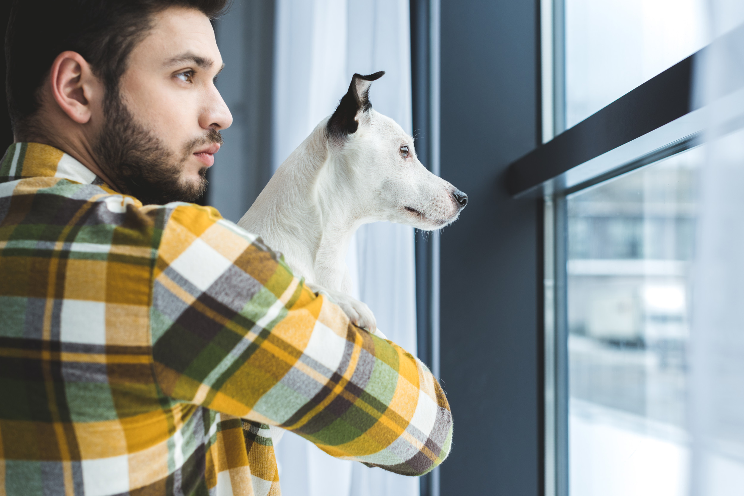 Man and dog looking out window.