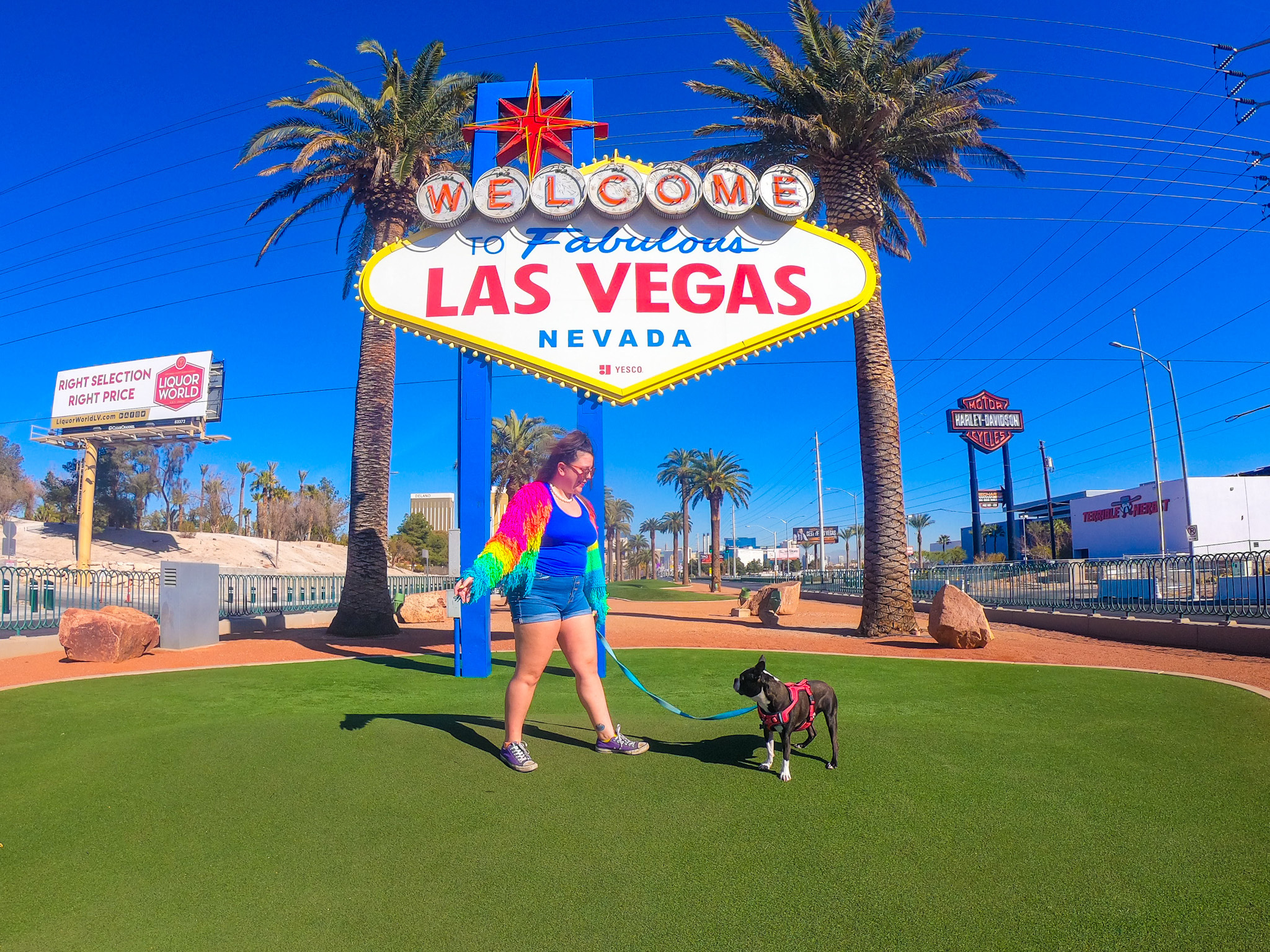 I've Visited 25 States With My Dog, and It's the Reason I love Domestic Travel