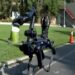 LAPD SWAT integrates 'robot dog' into the unit