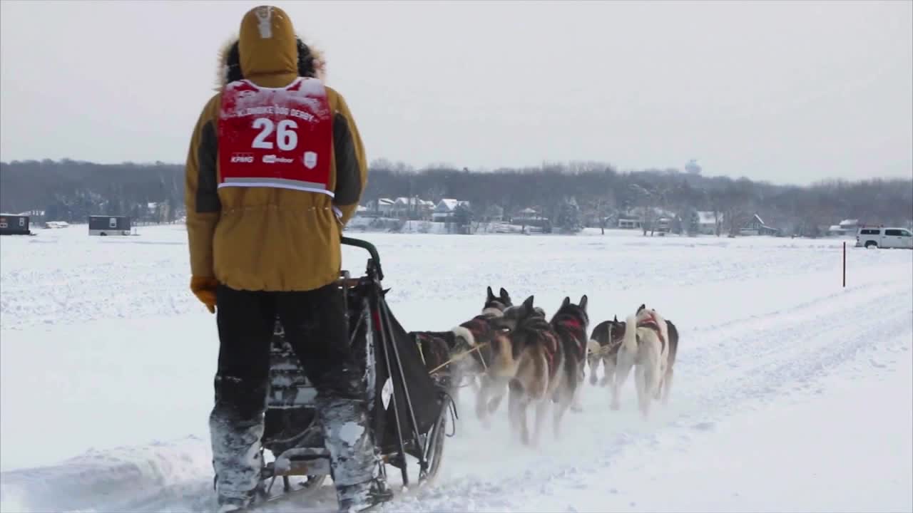 Lack of snow causes Lake Minnetonka Klondike Dog Derby cancellation for second year in a row