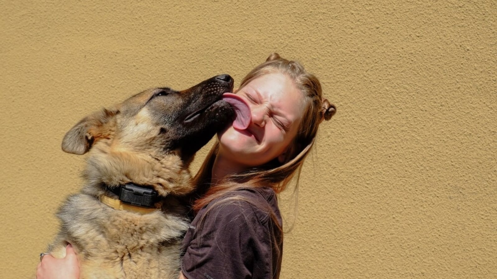 Letting your dog lick your face can be dangerous: Study reveals potential health risk