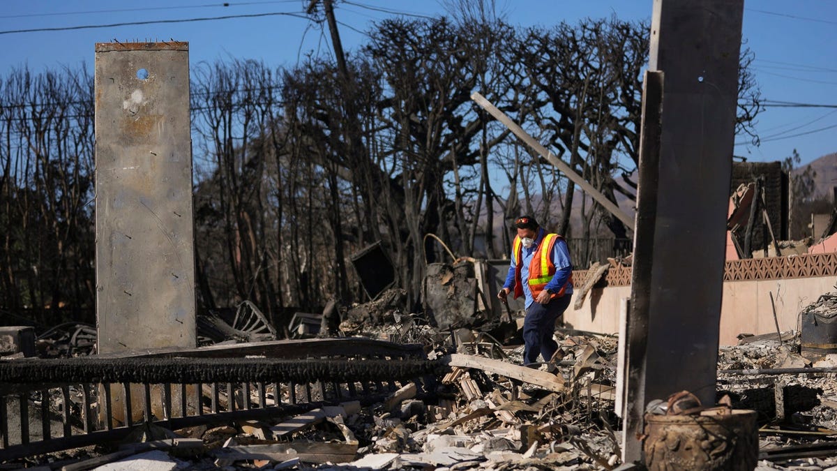 Los Angeles wildfire victim has emotional reunion with dog Oreo