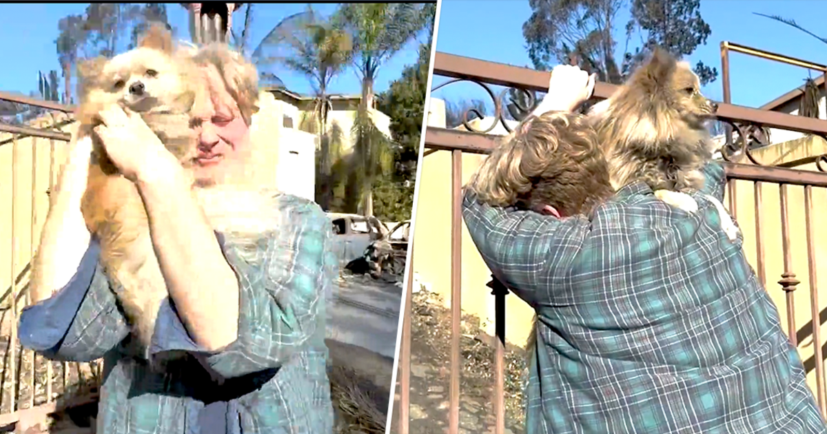 Man Reunites With Dog Oreo After Evacuating Palisades Fire In Emotional Video