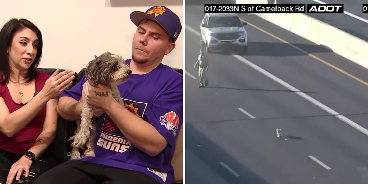 Man fostering partially blind dog he rescued from Phoenix freeway