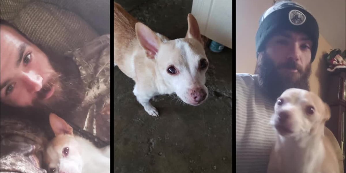 Man searching for dog after humane society gives it to the wrong owner