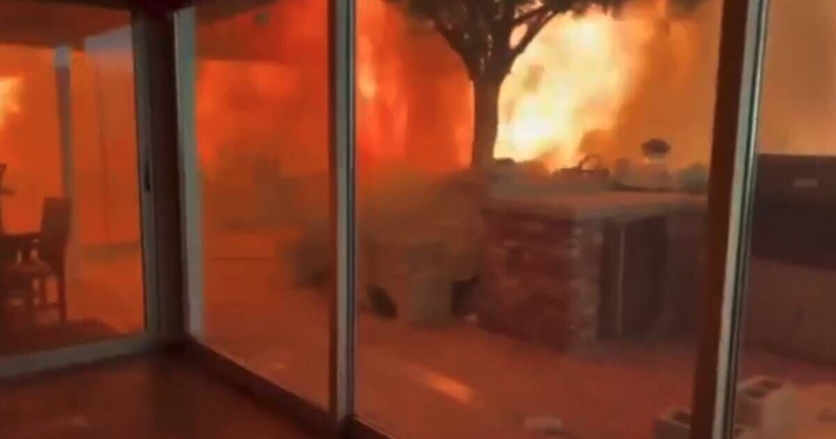 Man's tragic 4 words to dog as wildfires surround LA home - US News - News