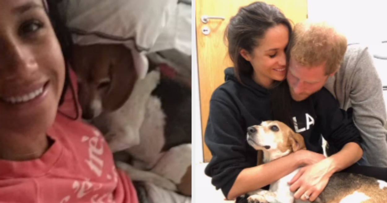 Meghan Markle's Emotional Tribute To Rescue Dog Guy