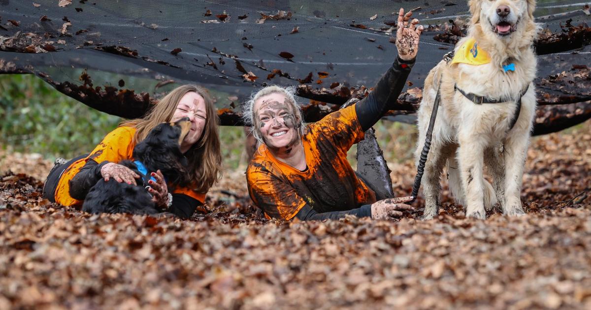 Muddy Dog Dash to return to Upton Country Park for 2025