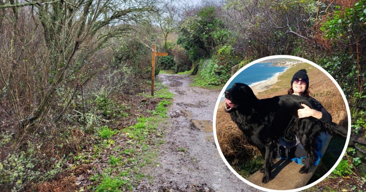 New Year dog walk in Cornwall nightmare after Penrose fall