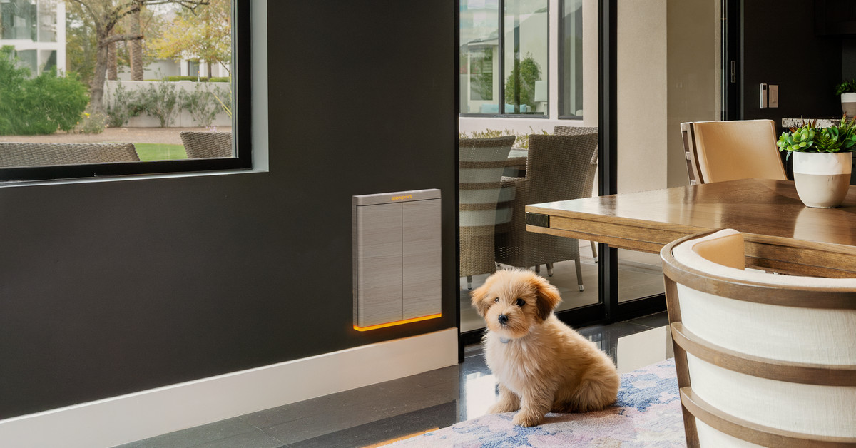 Cute pup beside dog door with glowing orange light.