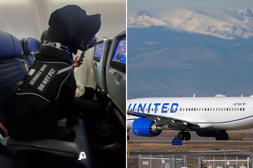 Passenger forced to give up seat for dog on United flight