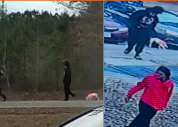 Persons of interest with dog wanted after man found dead in Brunswick County