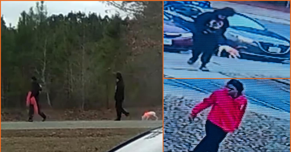 Persons of interest with dog wanted after man found dead in Brunswick County