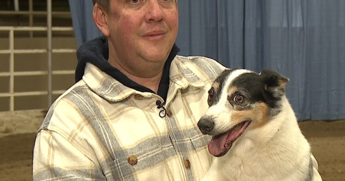 Rescue dogs take center stage of popular event at National Western Dog Show