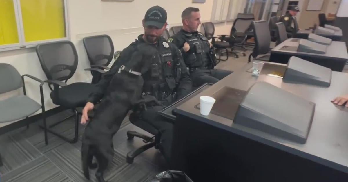 Richmond police recruit wellness dog to provide emotional support to officers