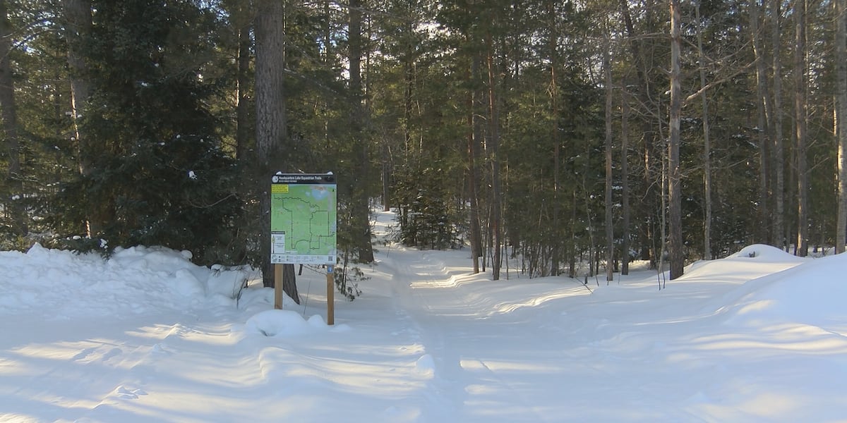 Sled dog race to return to Newberry area after two-year hiatus