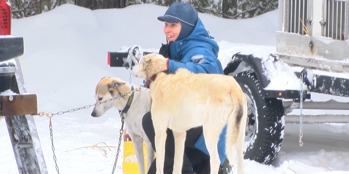 Tahquamenon Country Sled Dog Race returns to Newberry after 2 years