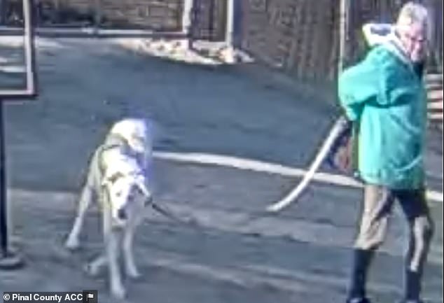 A woman wearing a bright blue sweatshirt was seen dragging her dog on a leash through the Pinal County Animal Care and Control parking lot