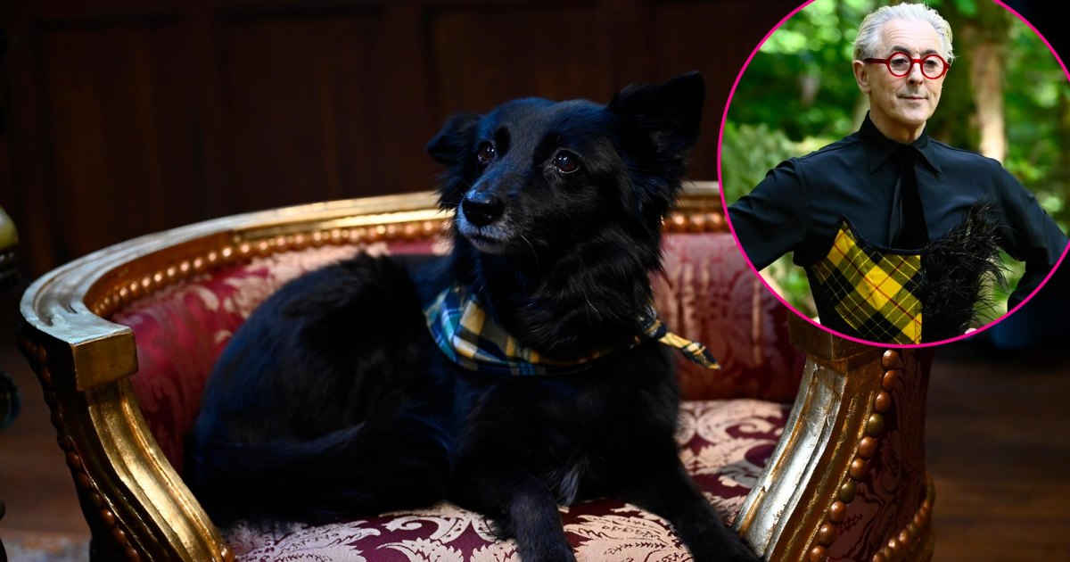 Traitors Host Alan Cumming's Dog Steals Style Spotlight in Season 3