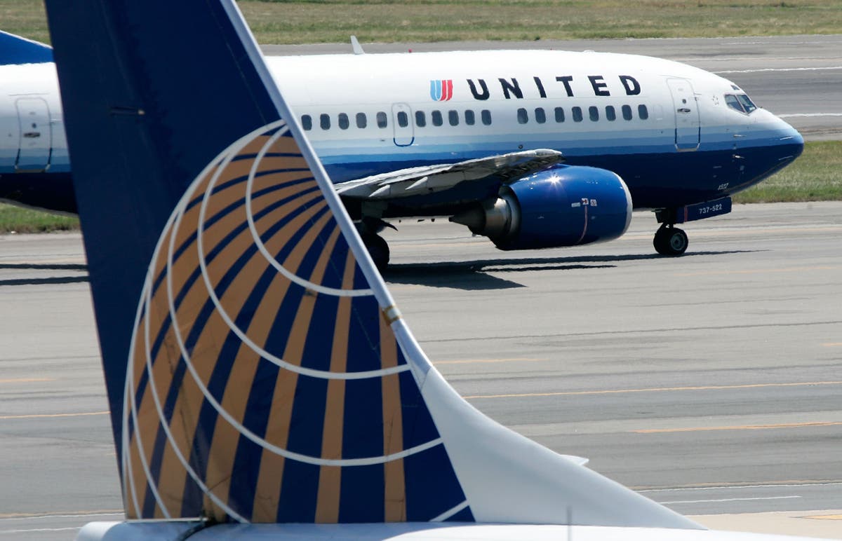 United Airlines passenger claims they lost seat to large service dog during flight: ‘Absurd’