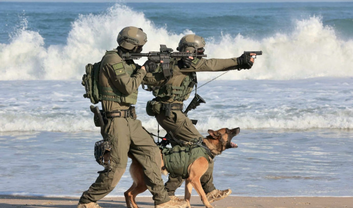 Why Israel's IDF has dogs working against Hamas in Gaza - Defense News