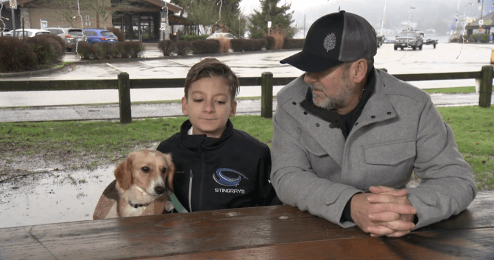 ‘We weren’t welcome’: Family says B.C. restaurant denied them entry due to service dog