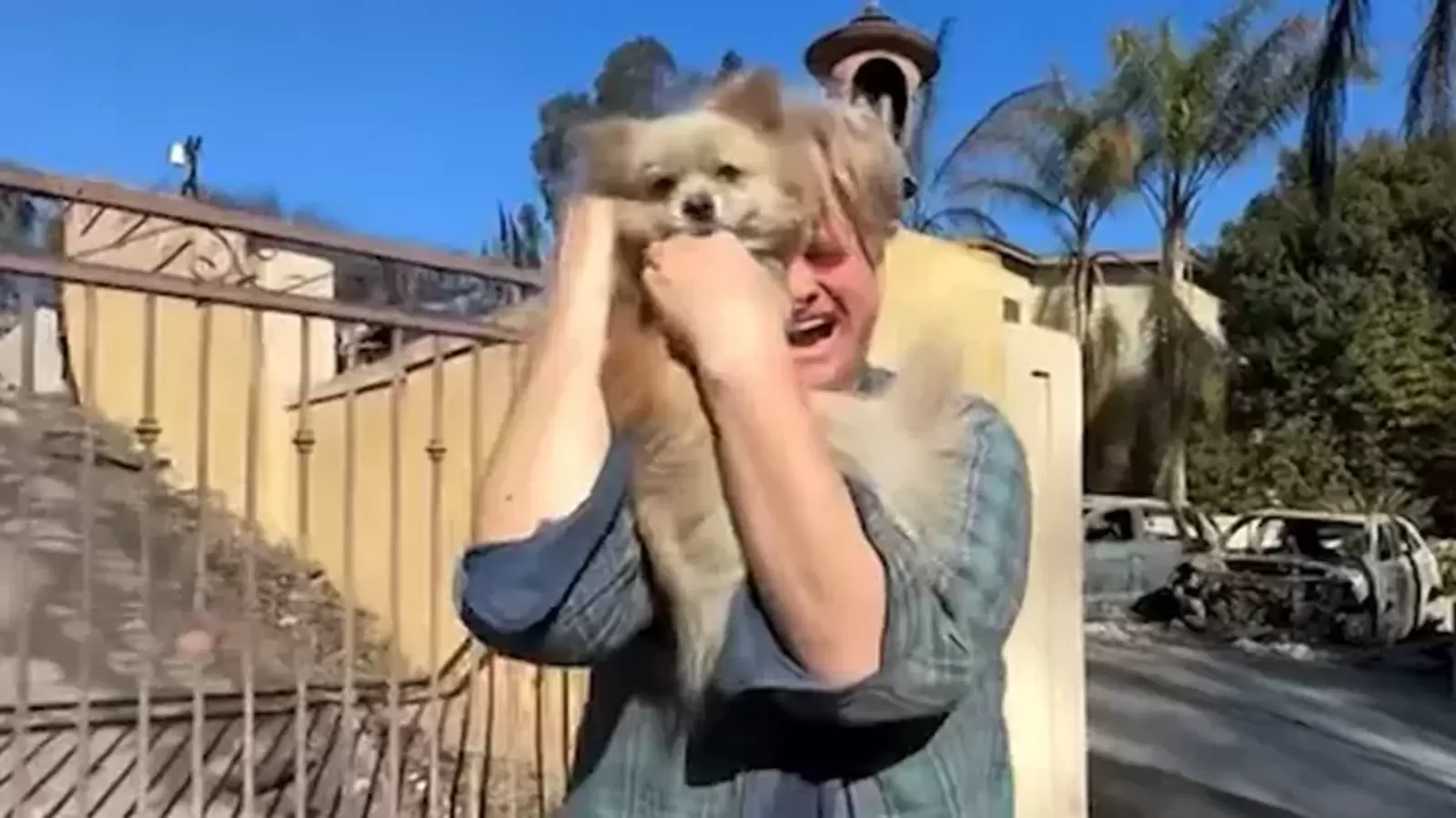 ‘You’re alive’: Man reunites with dog Oreo five days post LA wildfire evacuation, video goes viral